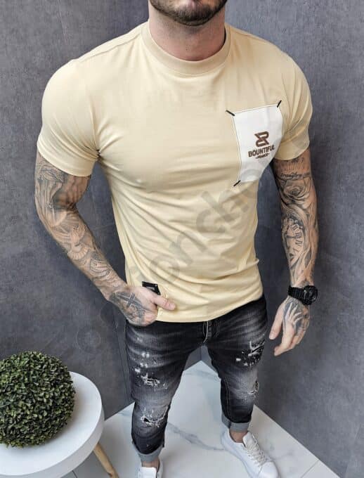 Mъжка тениска с емблема и надпис Bountiful France-капучино-код 551-2